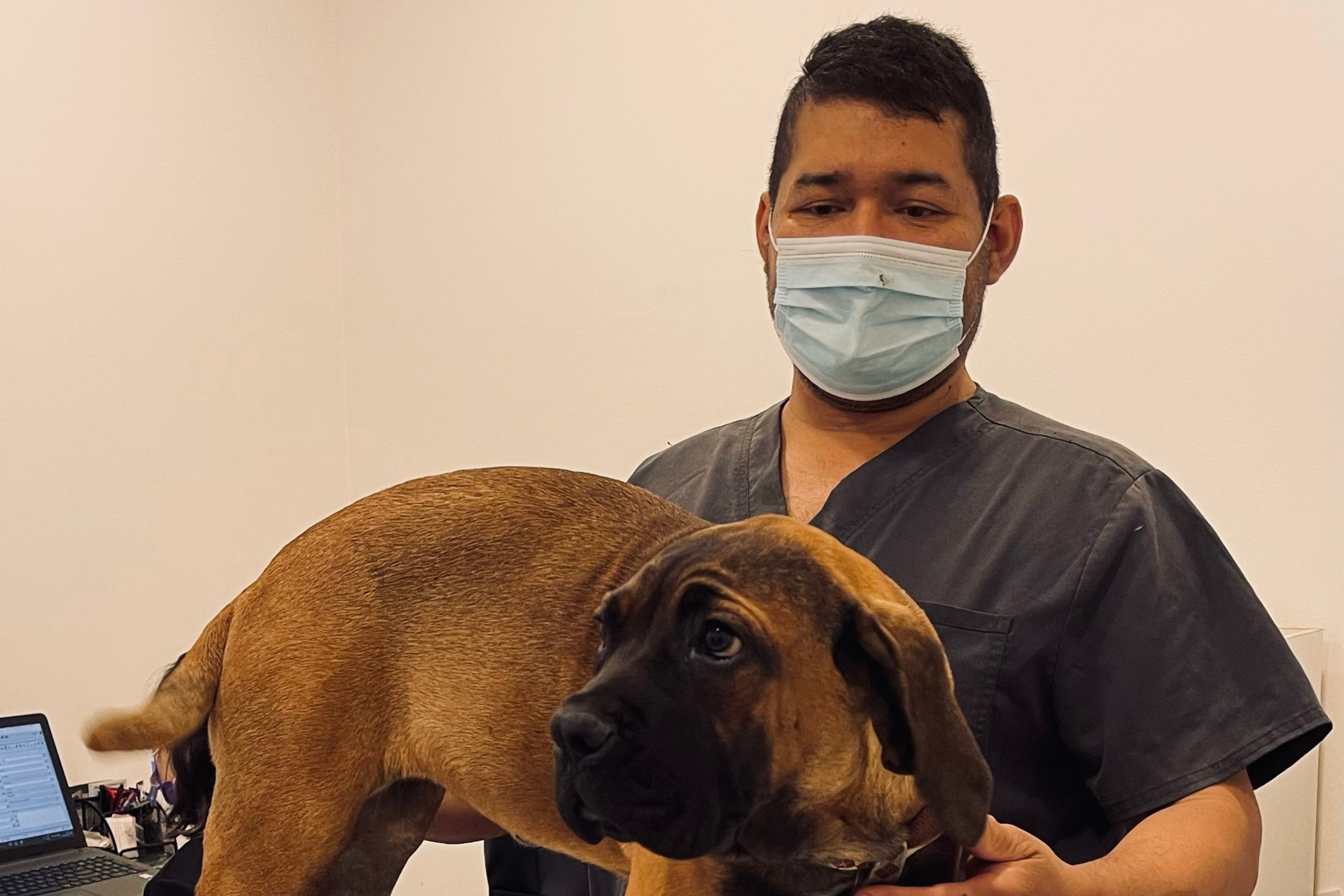 Dr. Orlando Morocoima